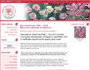 View Whetman Pinks website project details